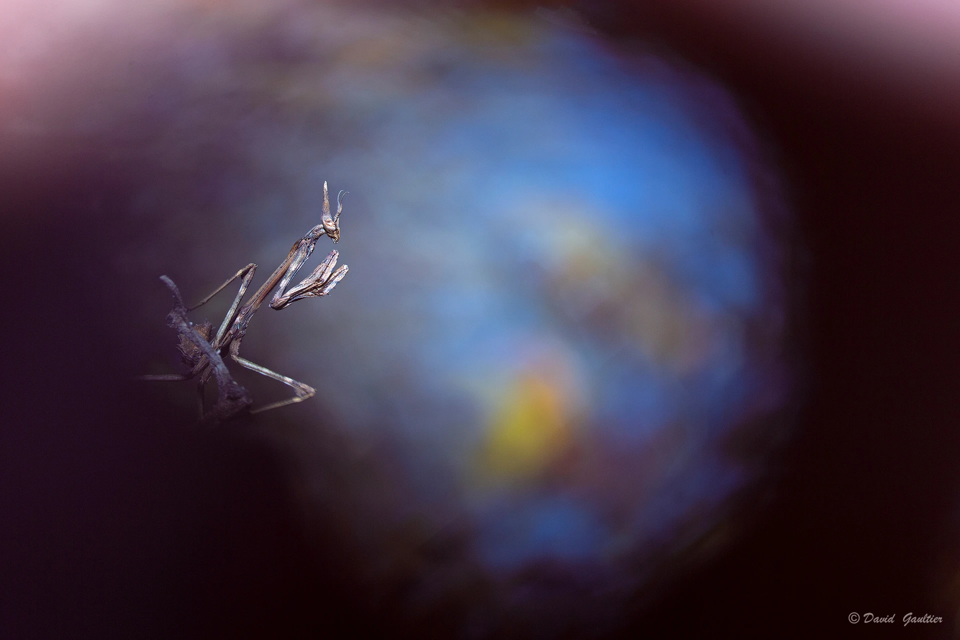 The Blue Planet Project