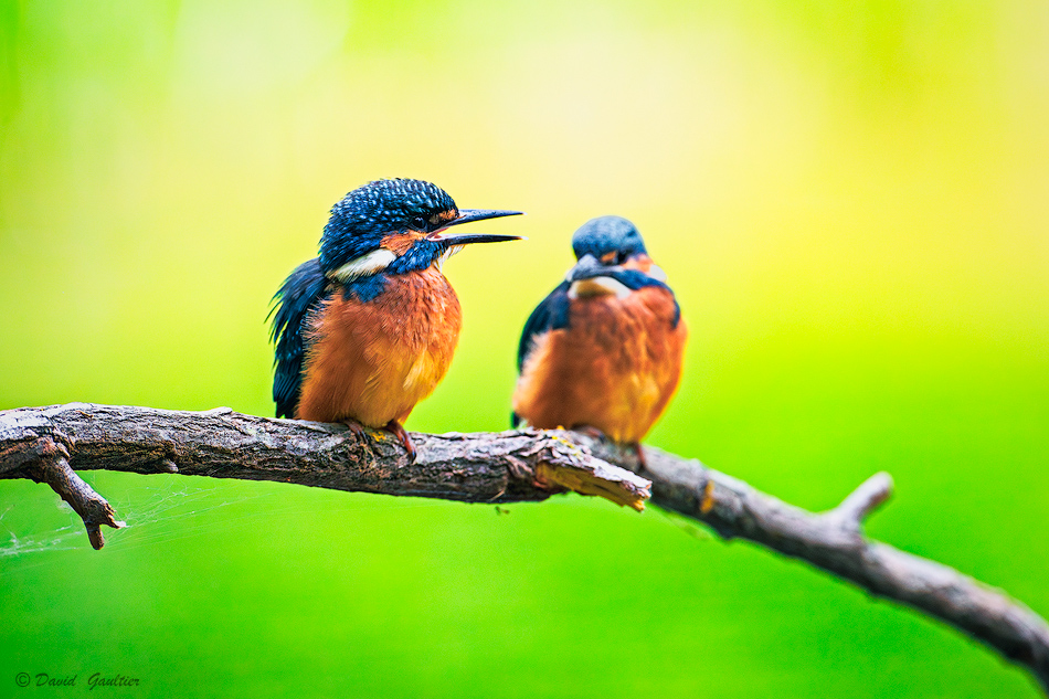 Confidences au Bord de l'Eau