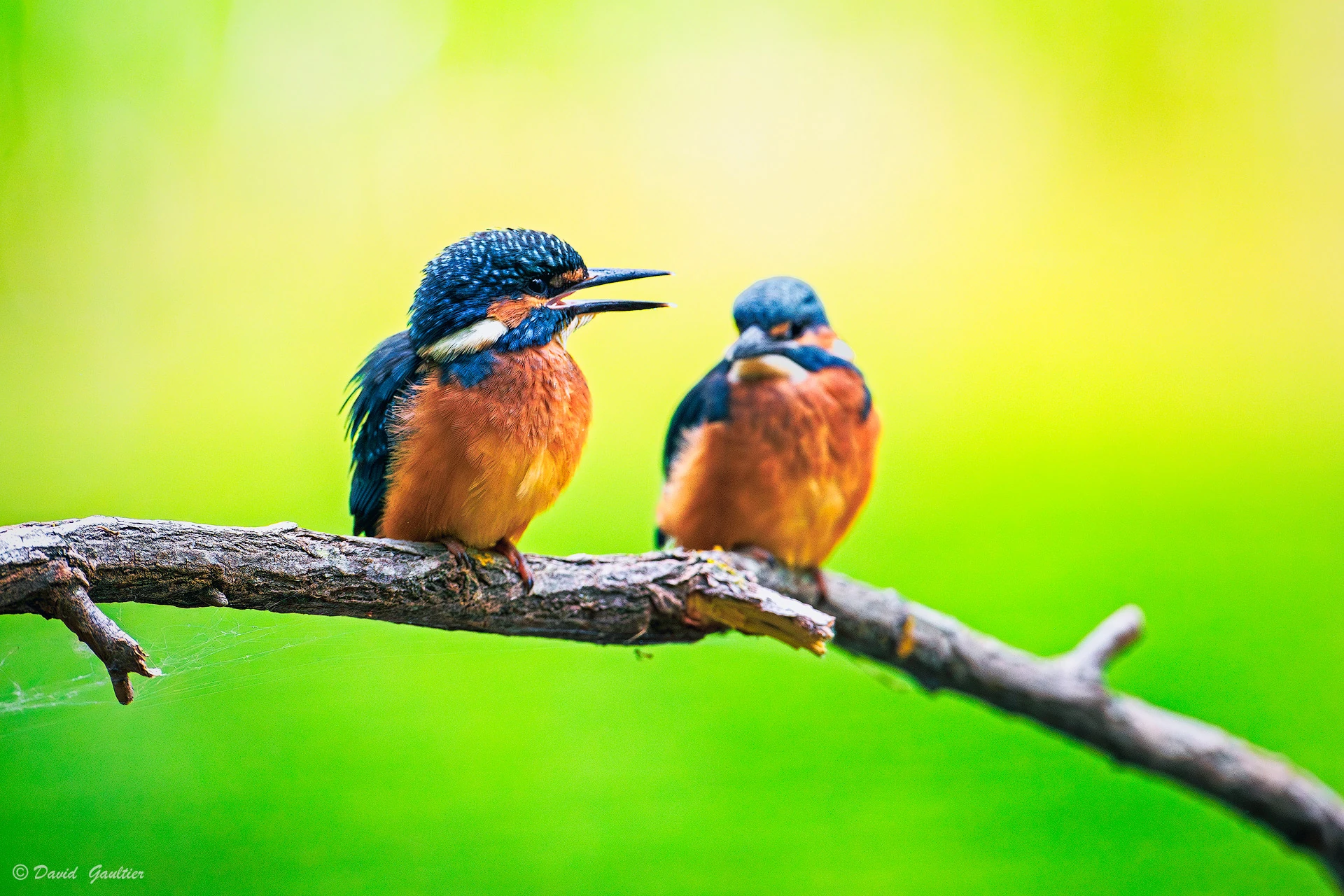 Confidences au Bord de l'Eau