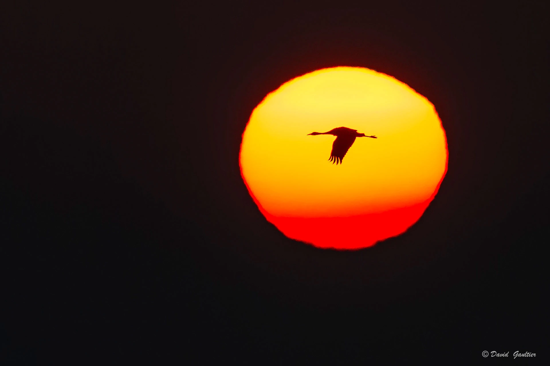 Au Cœur du Soleil